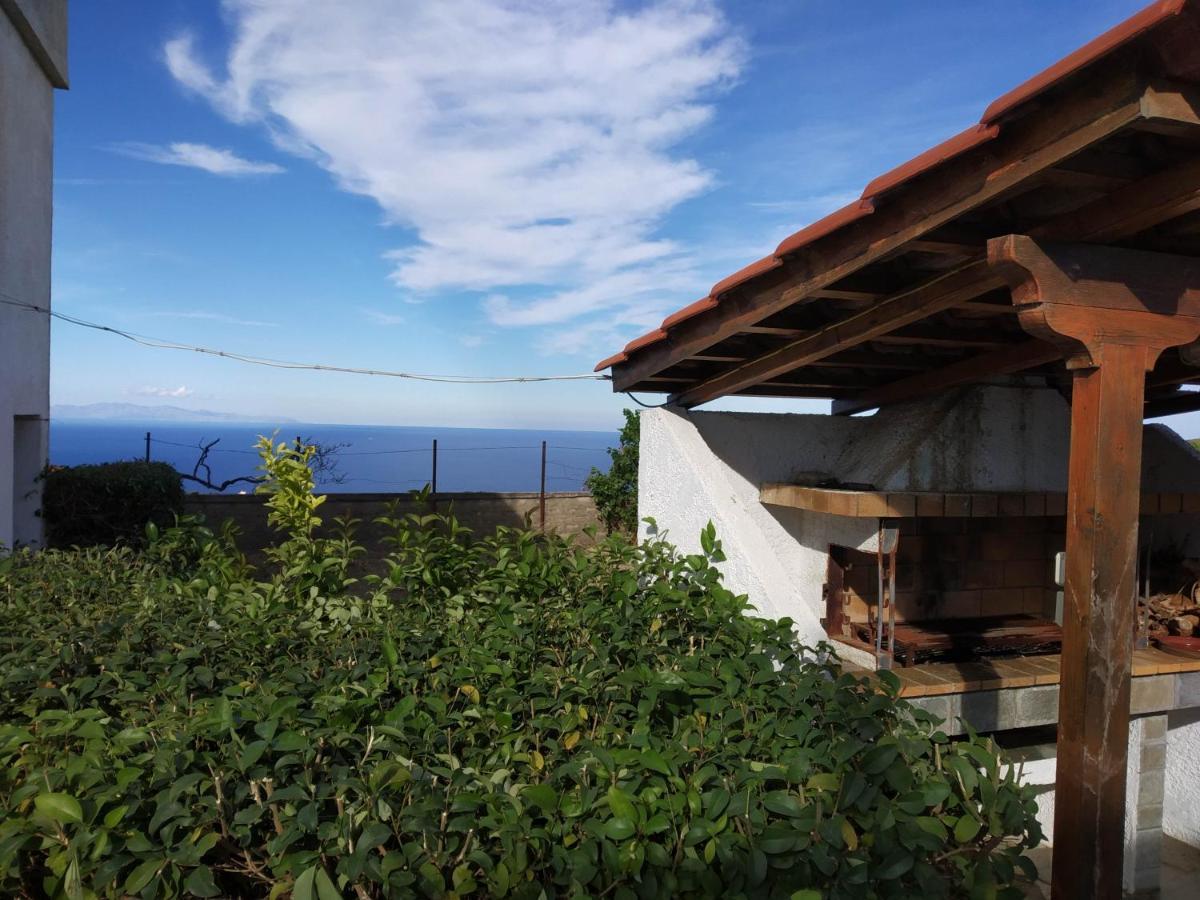 Ellina'S Home - Euboea Island Greece Oxilithos Ngoại thất bức ảnh