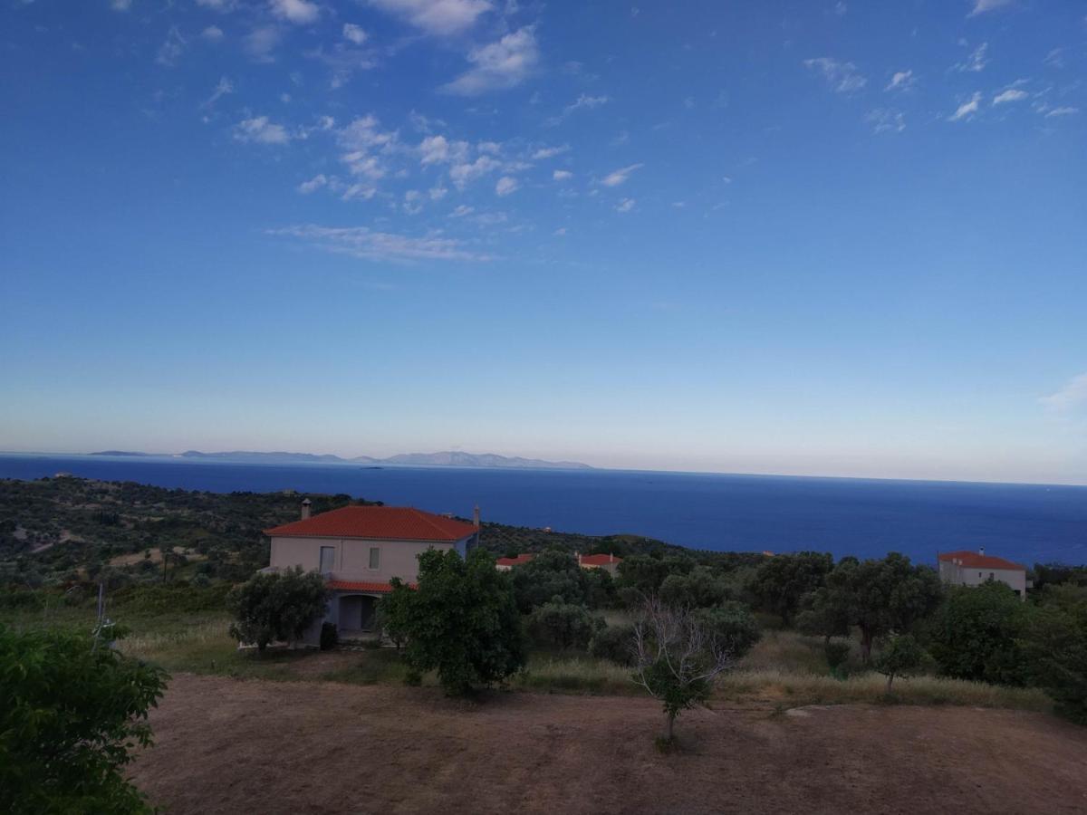 Ellina'S Home - Euboea Island Greece Oxilithos Ngoại thất bức ảnh