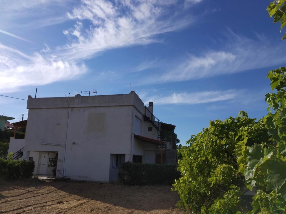 Ellina'S Home - Euboea Island Greece Oxilithos Ngoại thất bức ảnh