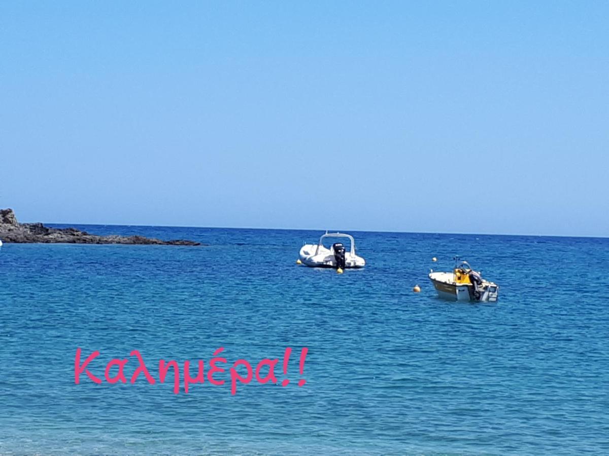 Ellina'S Home - Euboea Island Greece Oxilithos Ngoại thất bức ảnh