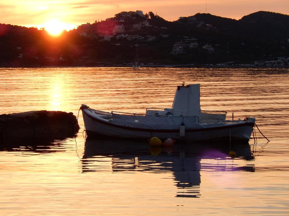 Ellina'S Home - Euboea Island Greece Oxilithos Ngoại thất bức ảnh