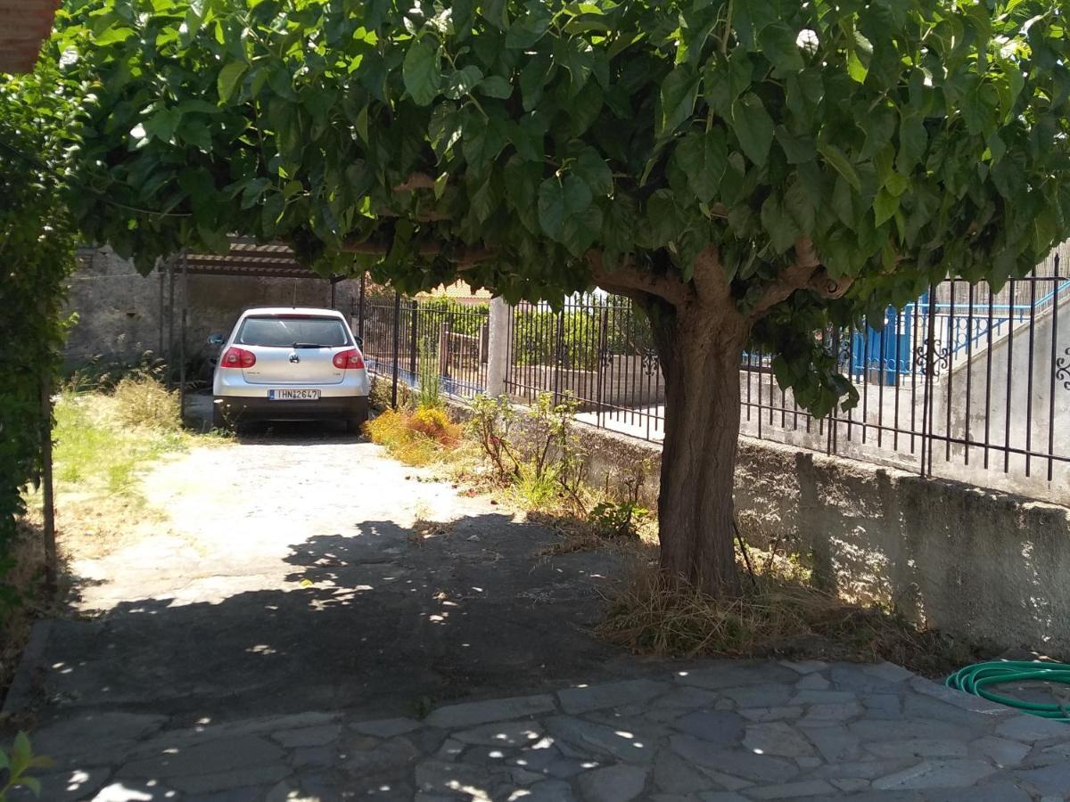 Ellina'S Home - Euboea Island Greece Oxilithos Ngoại thất bức ảnh