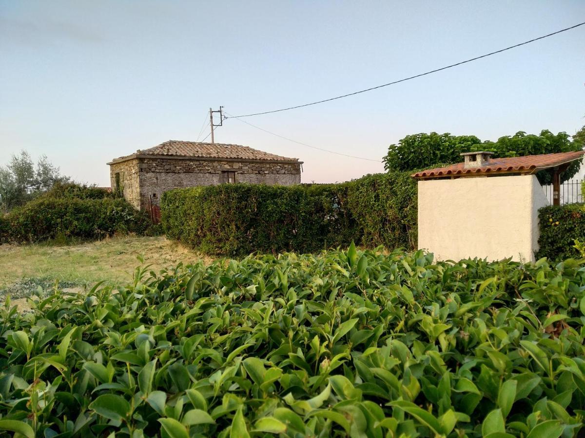 Ellina'S Home - Euboea Island Greece Oxilithos Ngoại thất bức ảnh